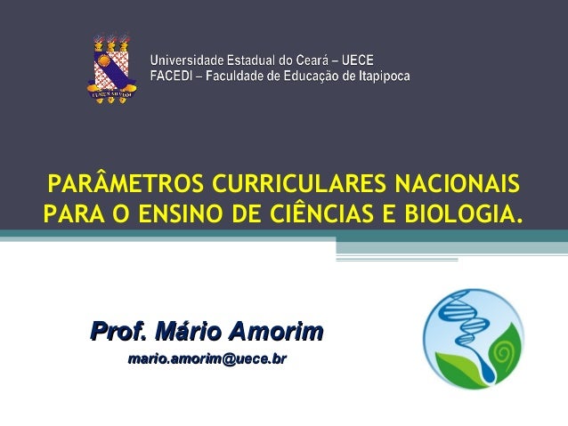 Pcn Ensino Fundamental Pdf